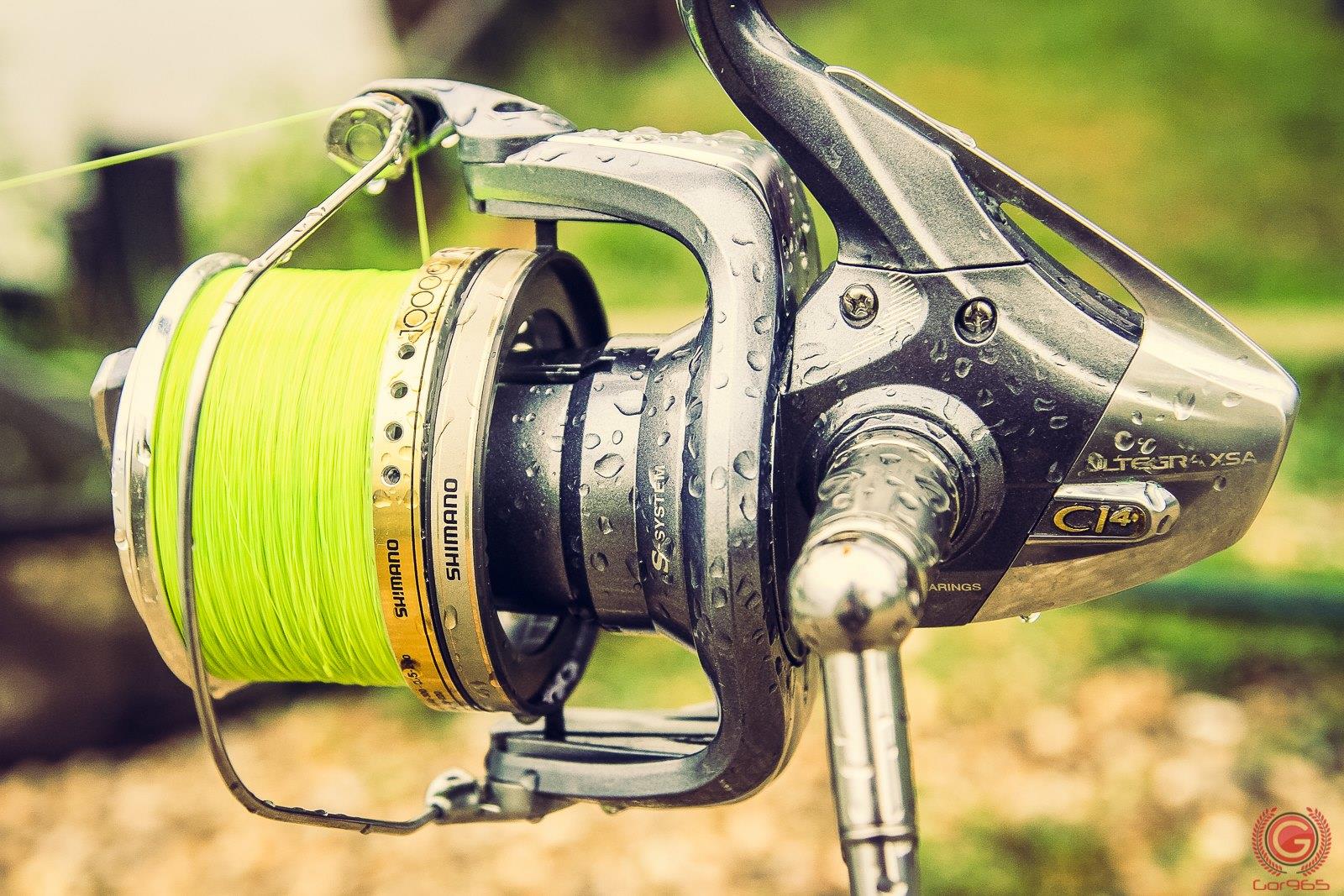 A fost anuntata data in care se va desfasura targul de pescuit din Timisoara.